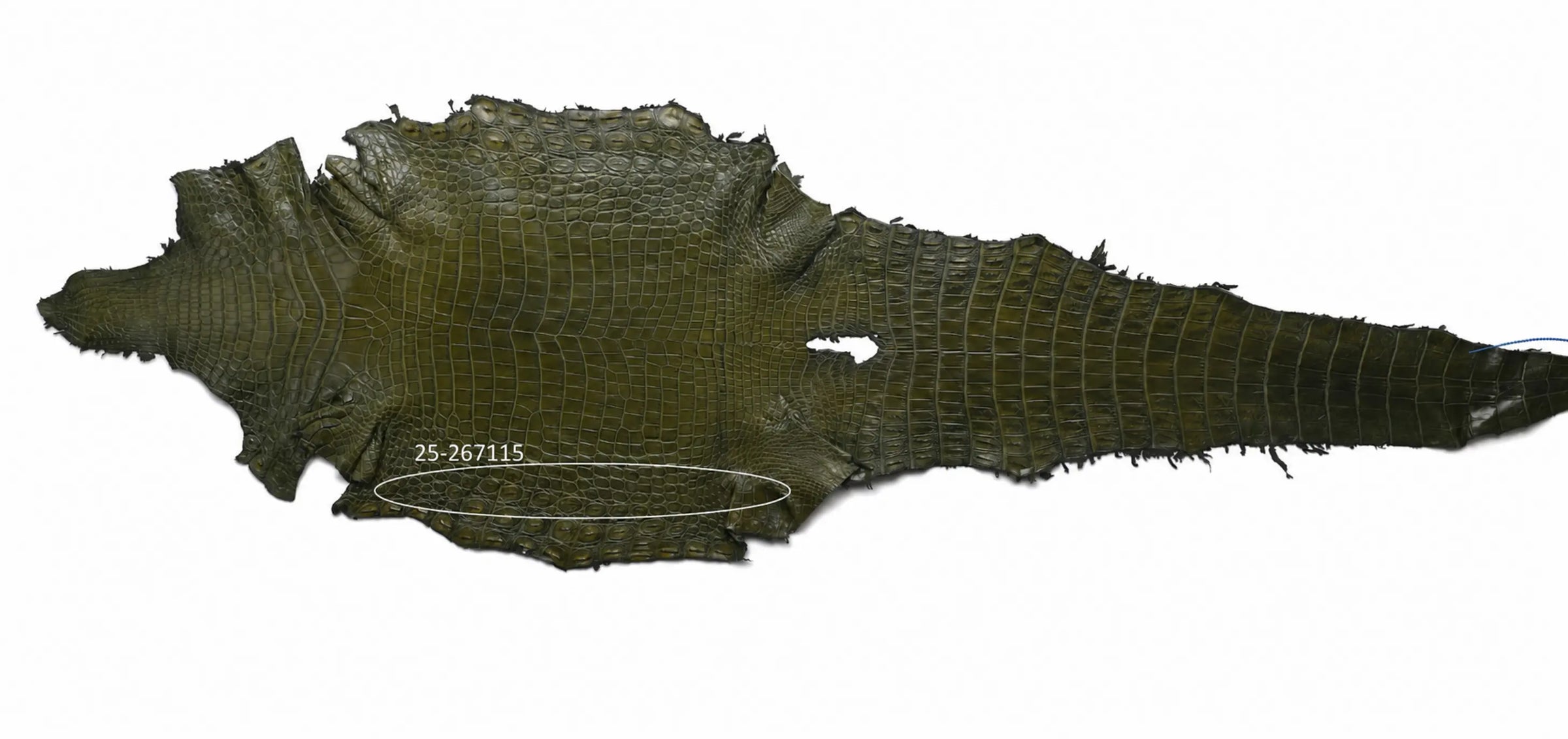 Seronera belt - Green / 90 cm / 40 mm - 127112 - skin