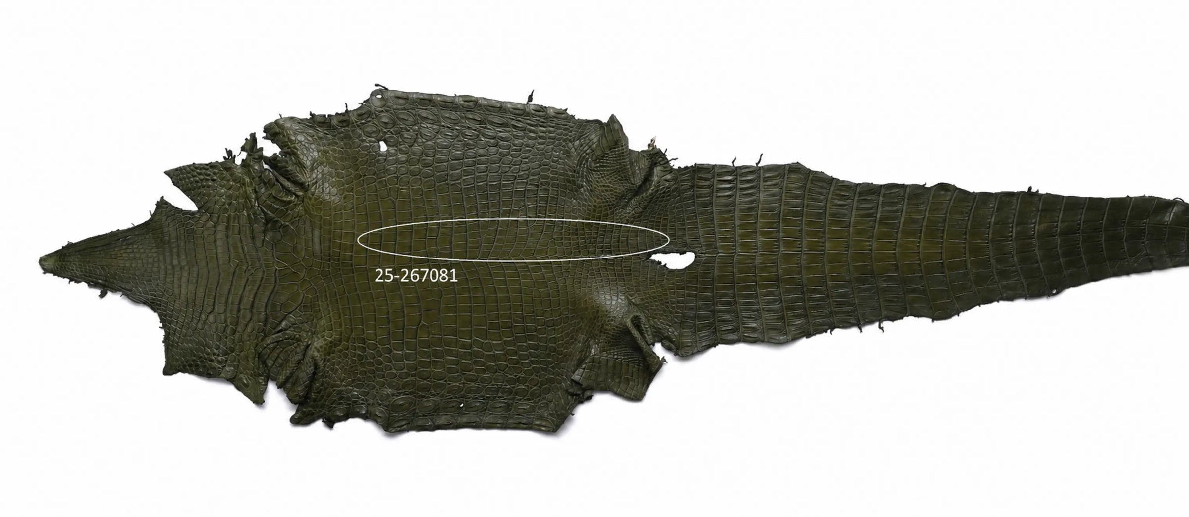 Seronera belt - Green / 85 cm / 40 mm - 127078 - skin