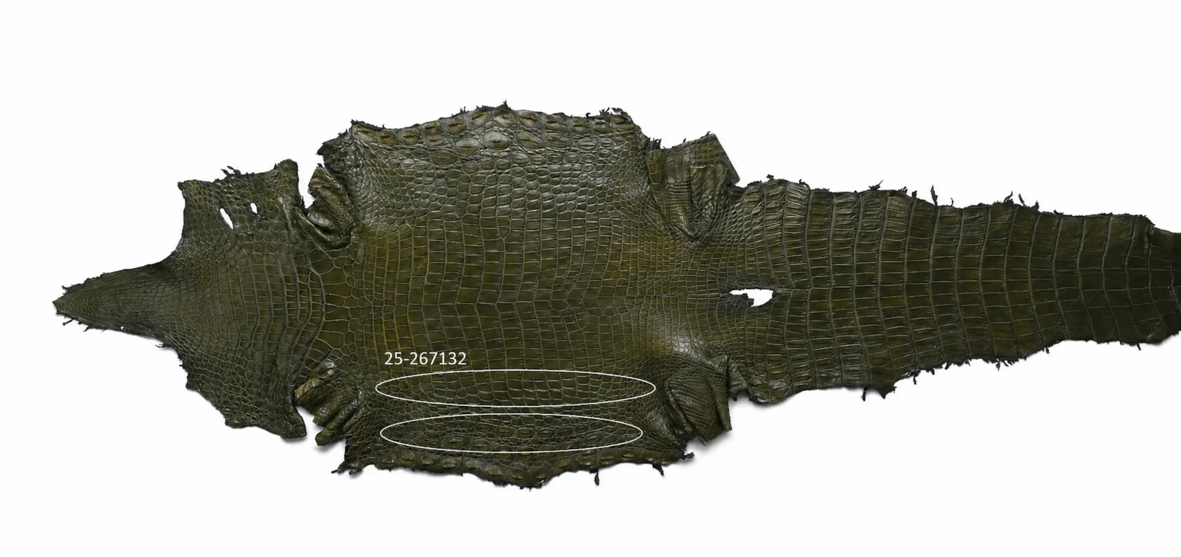 Seronera belt - Green / 105 cm / 40 mm - 127129 - skin