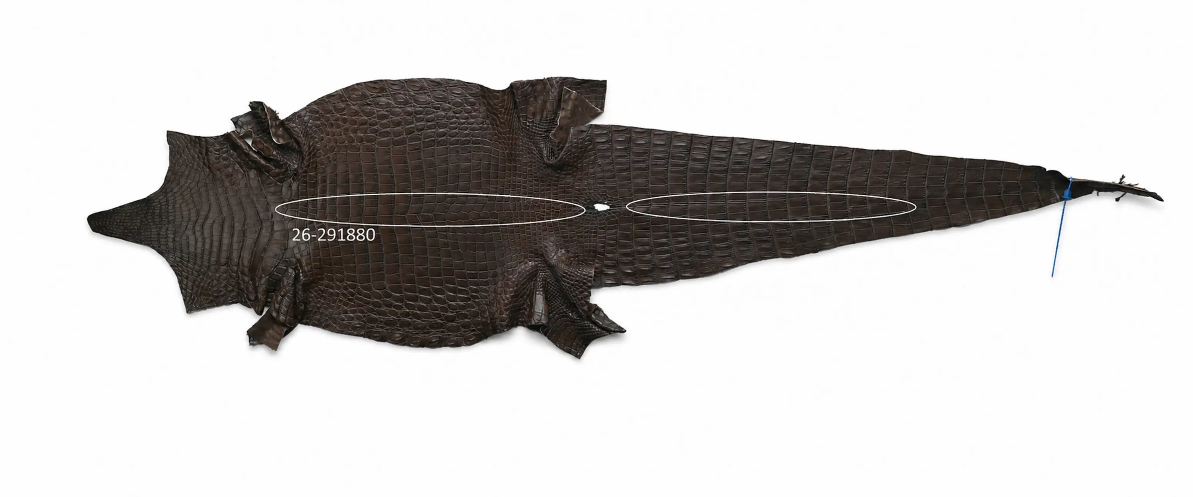 Seronera belt - Tobacco / 85 cm / 35 mm - 127315 - skin
