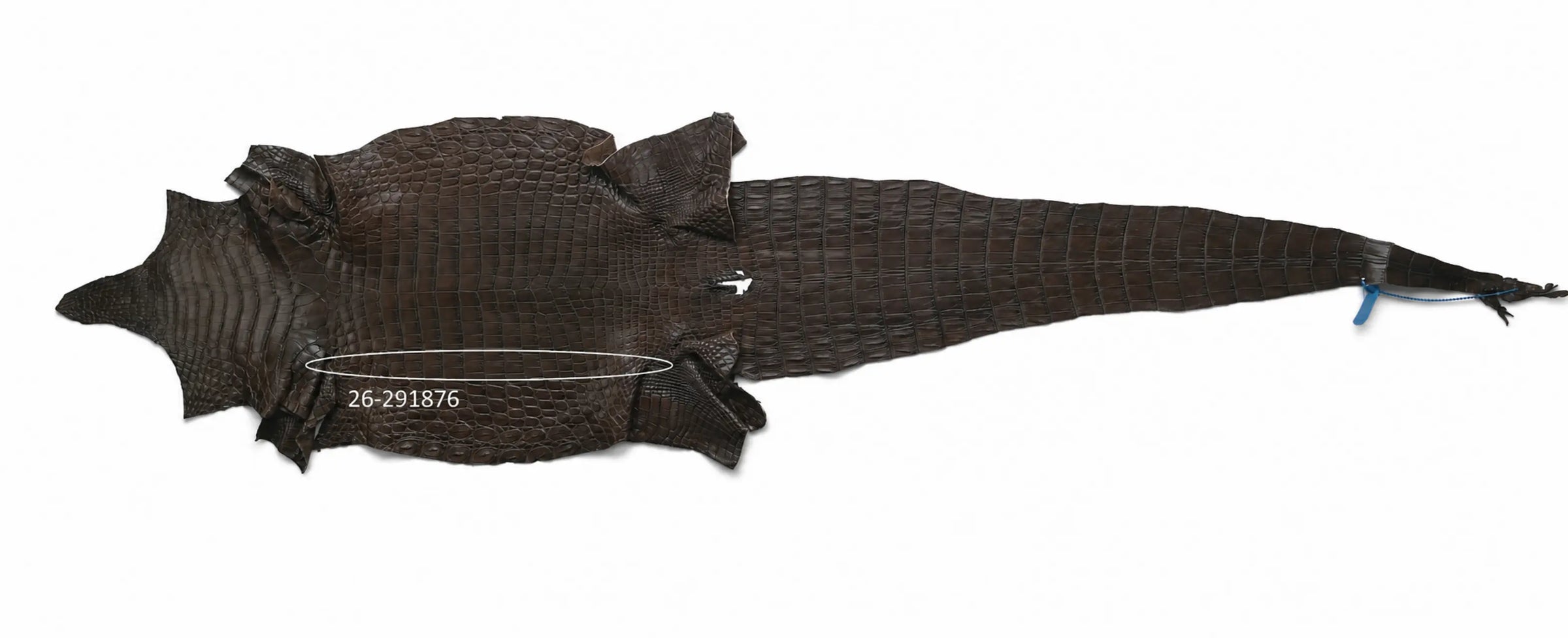 Seronera belt - Tobacco / 85 cm / 35 mm - 127311 - skin