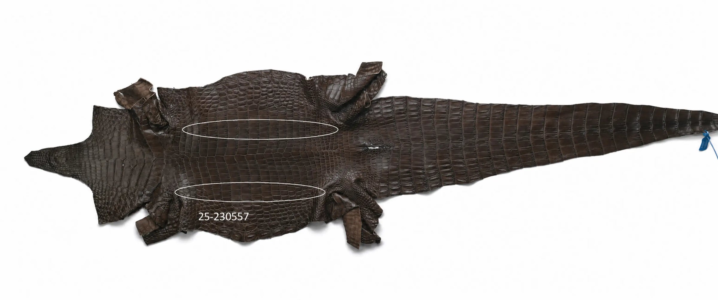 Seronera belt - Tobacco / 90 cm / 40 mm - 126651 - skin