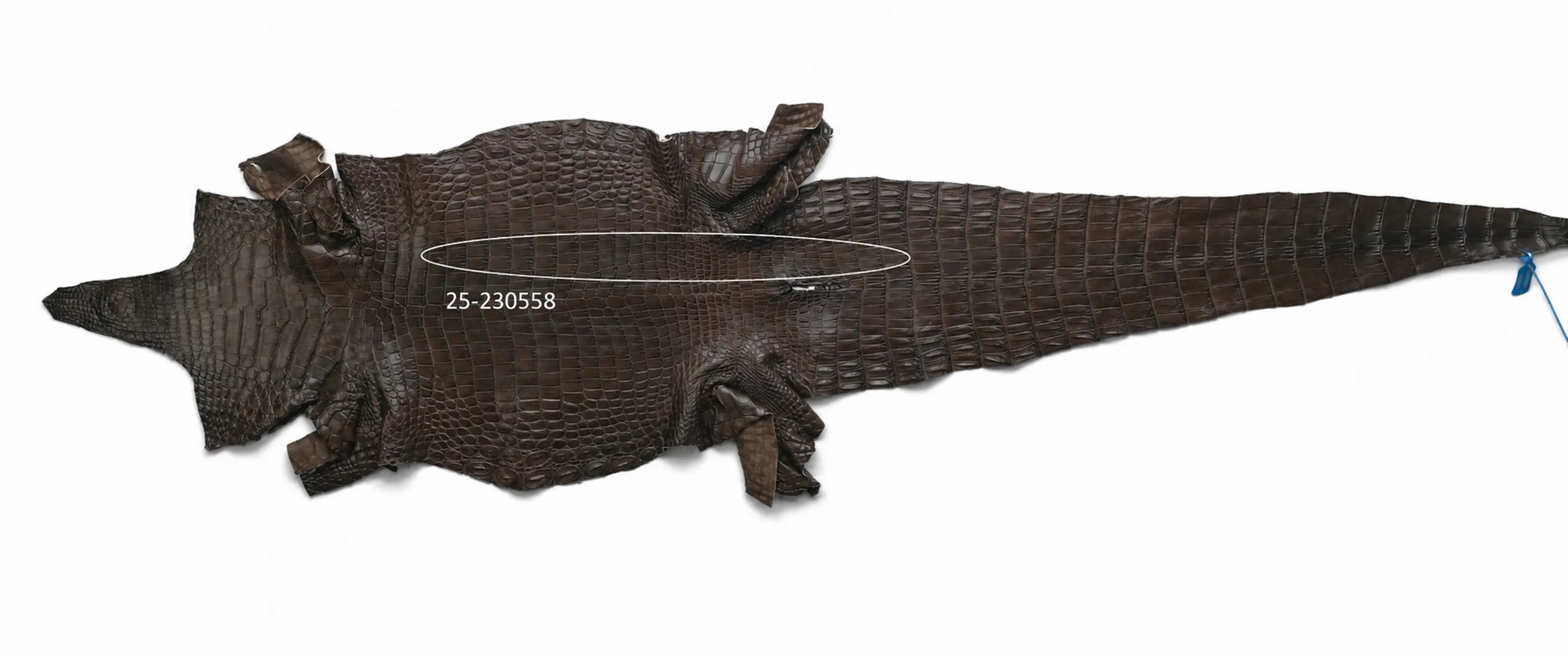 Seronera belt - Tobacco / 90 cm / 40 mm - 126652 - skin