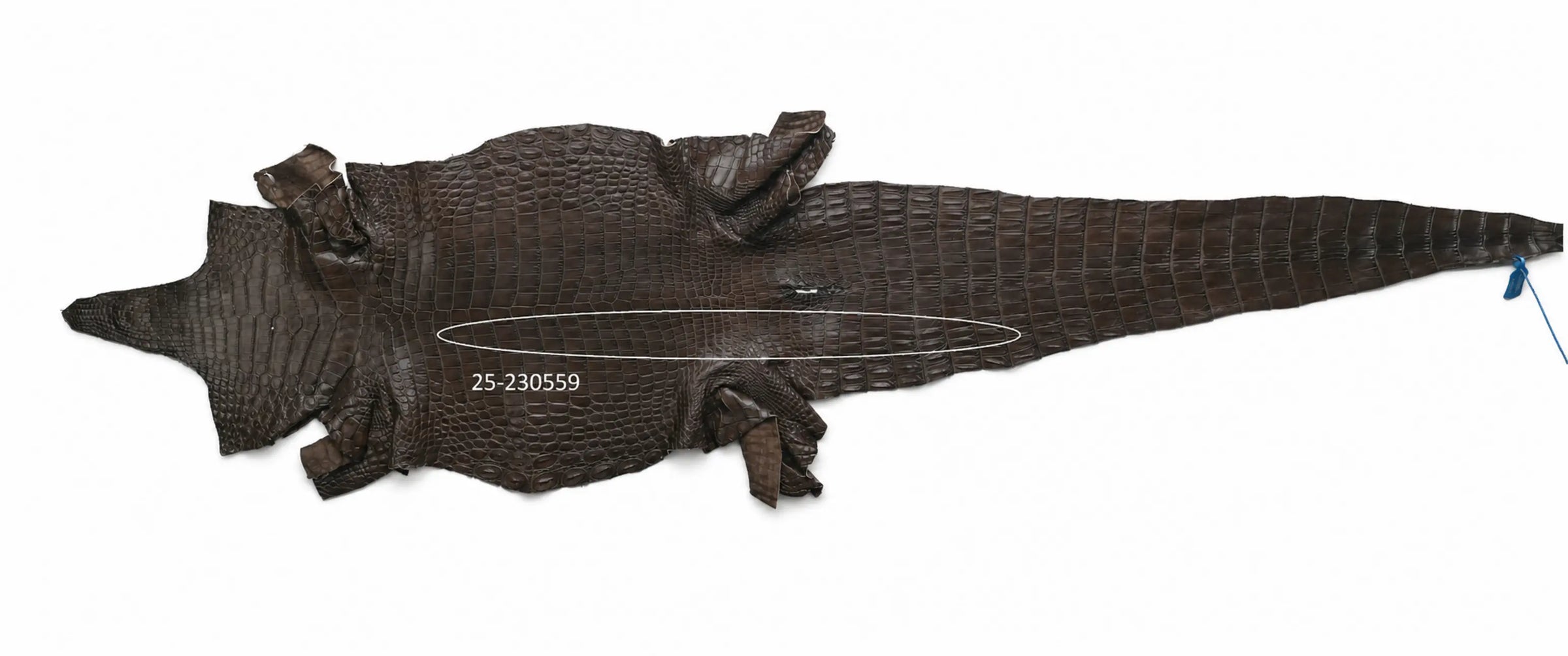 Seronera belt - Tobacco / 120 cm / 40 mm - 126653 - skin