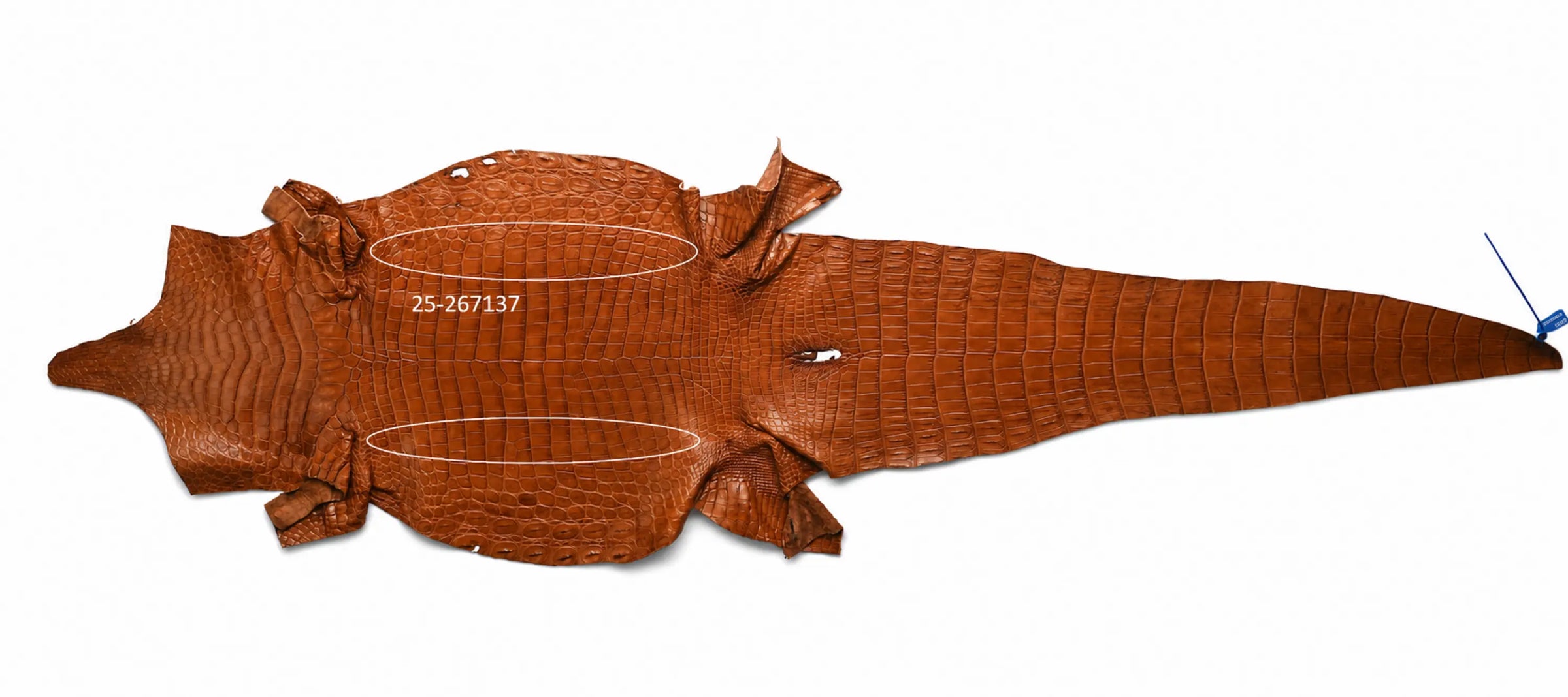 Seronera belt - Cognac / 85 cm / 40 mm - 127134 - skin