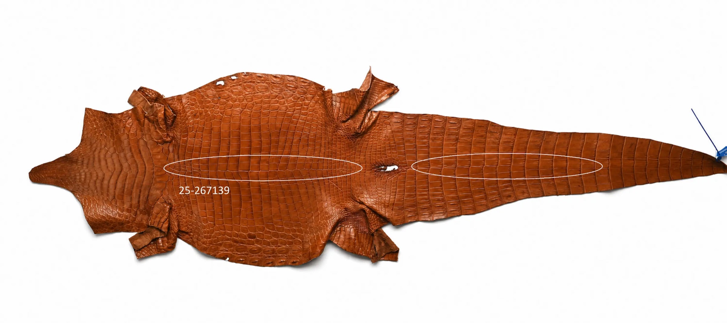 Seronera belt - Cognac / 105 cm / 40 mm - 127136 - skin