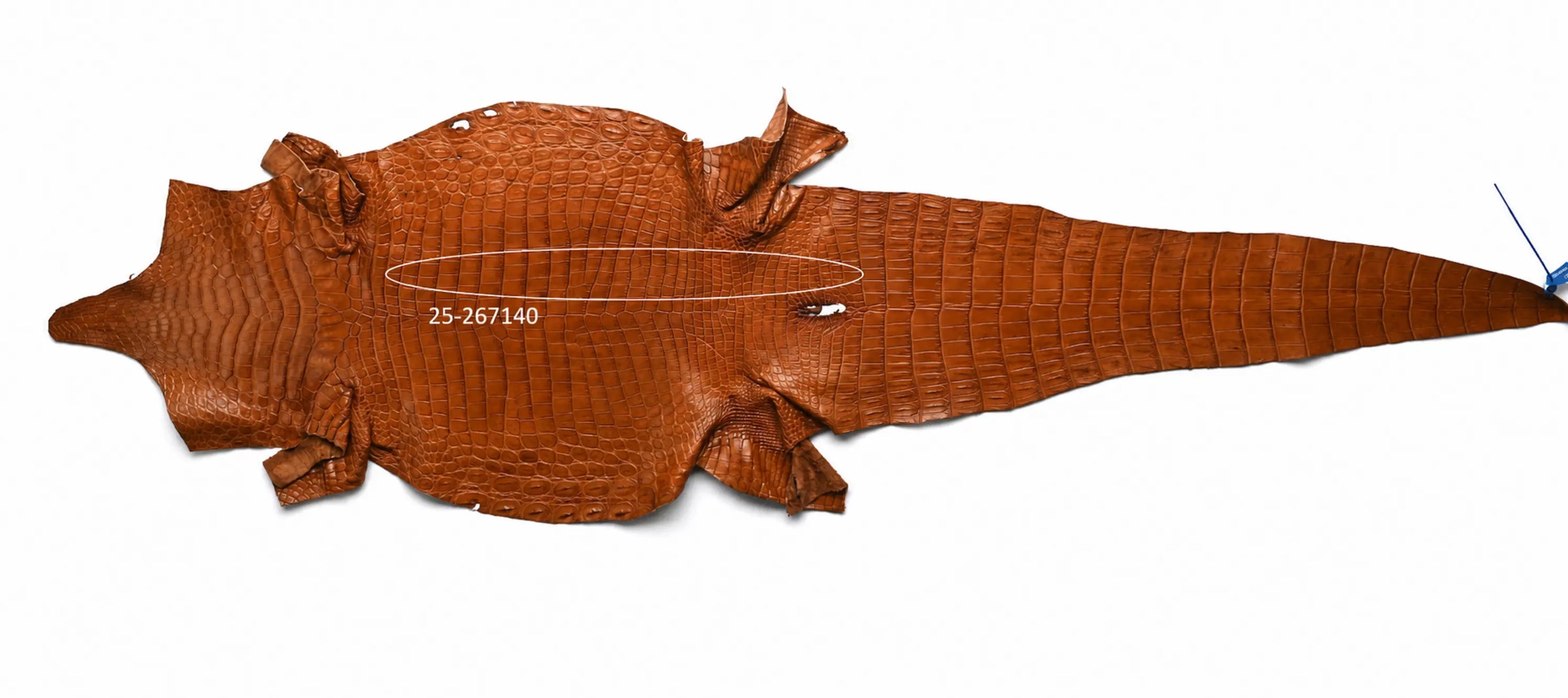 Seronera belt - Cognac / 95 cm / 40 mm - 127137 - skin