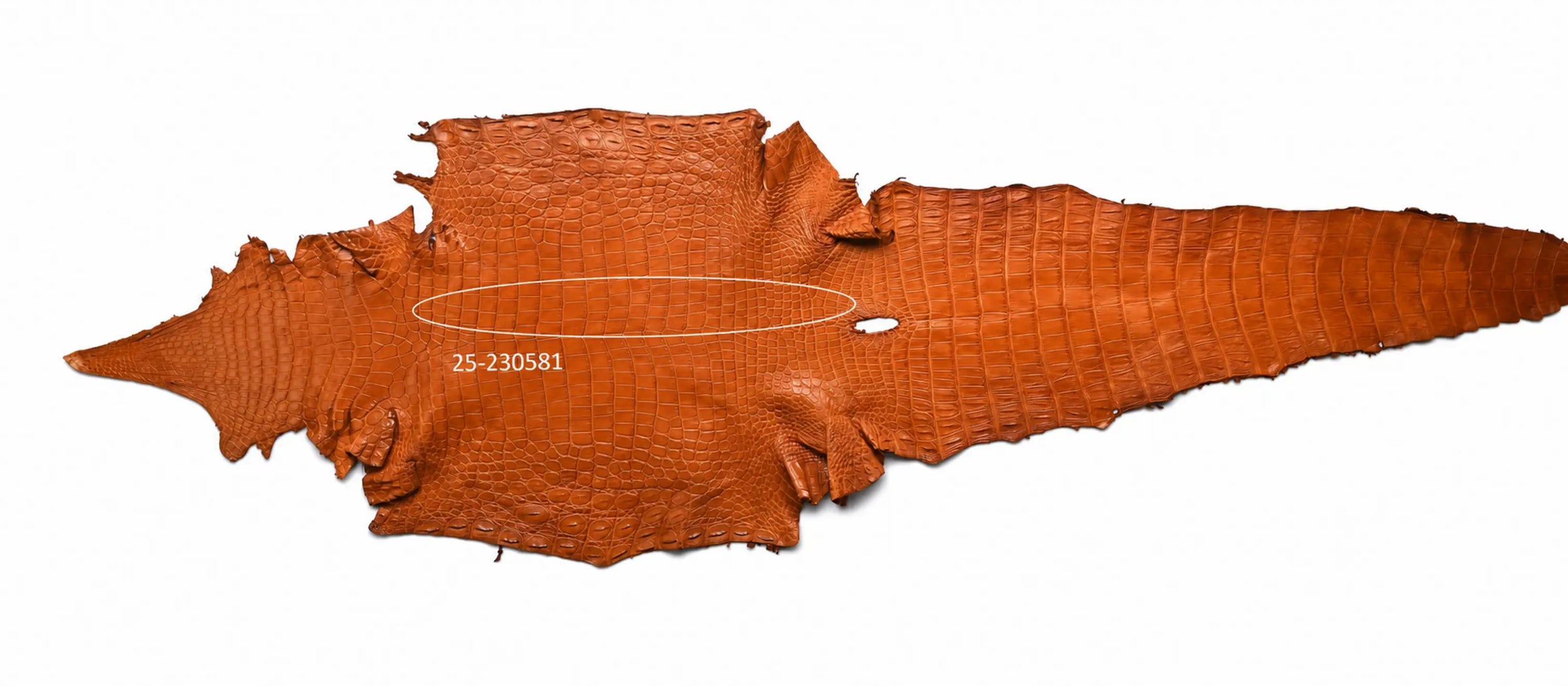 Seronera belt - Cognac / 95 cm / 40 mm - 126675 - skin