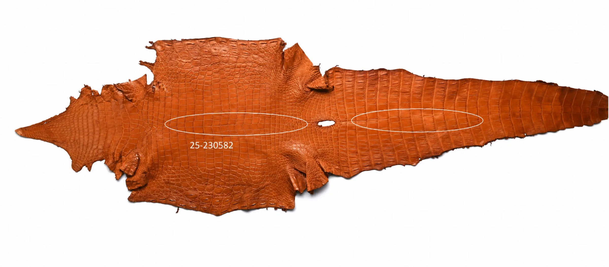 Seronera belt - Cognac / 105 cm / 40 mm - 126676 - skin