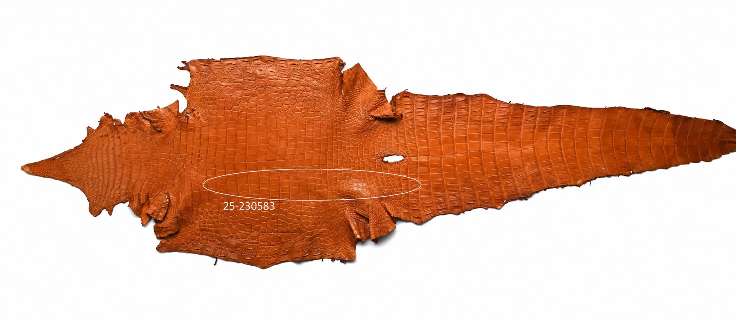 Seronera belt - Cognac / 110 cm / 40 mm - 126677 - skin