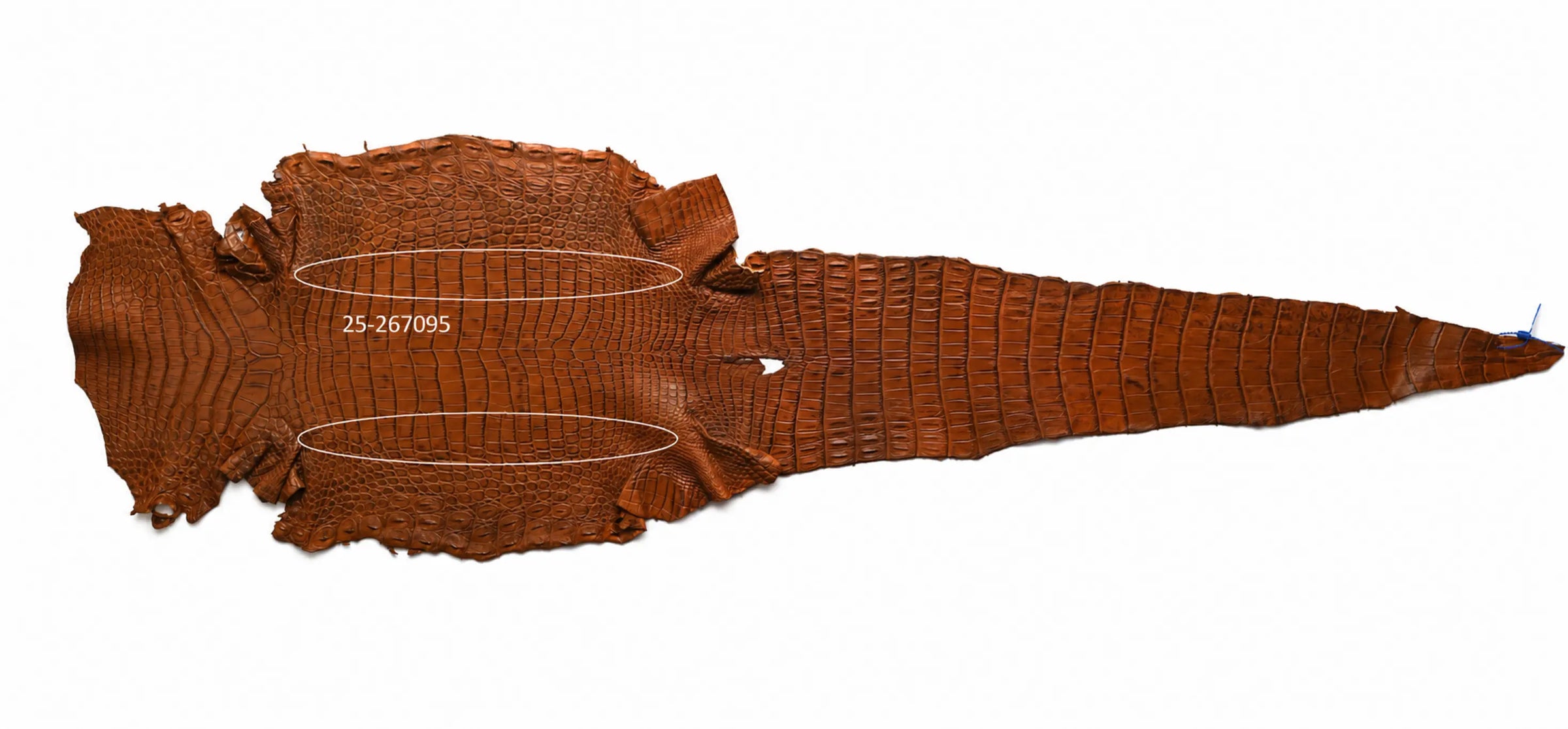 Seronera belt - Cognac / 95 cm / 40 mm - 127092 - skin