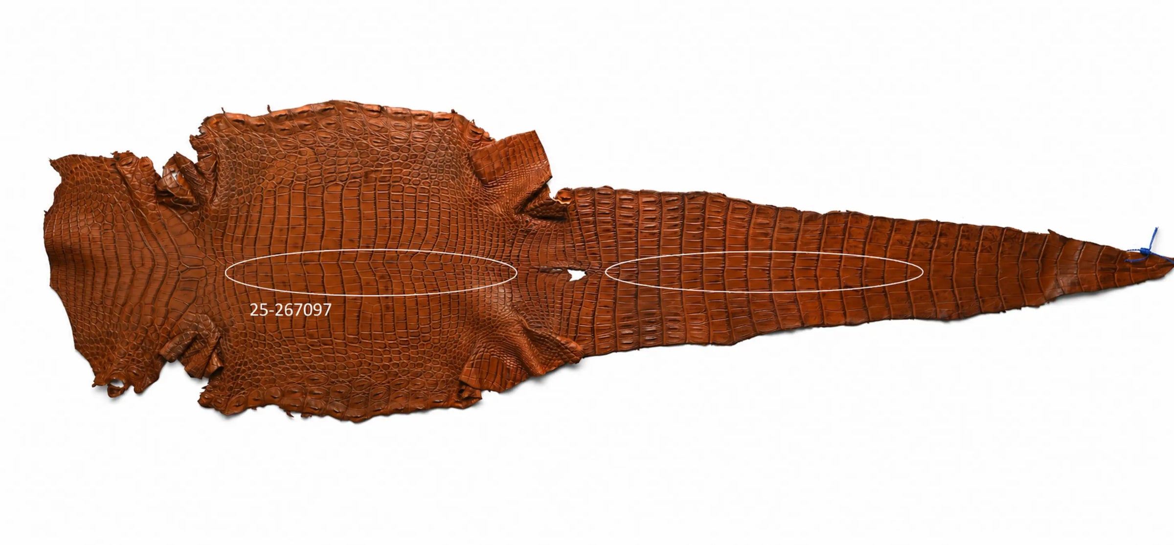 Seronera belt - Cognac / 105 cm / 40 mm - 127094 - skin
