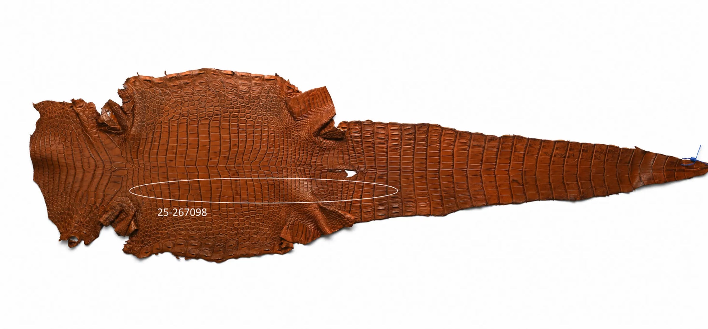 Seronera belt - Cognac / 110 cm / 40 mm - 127095 - skin