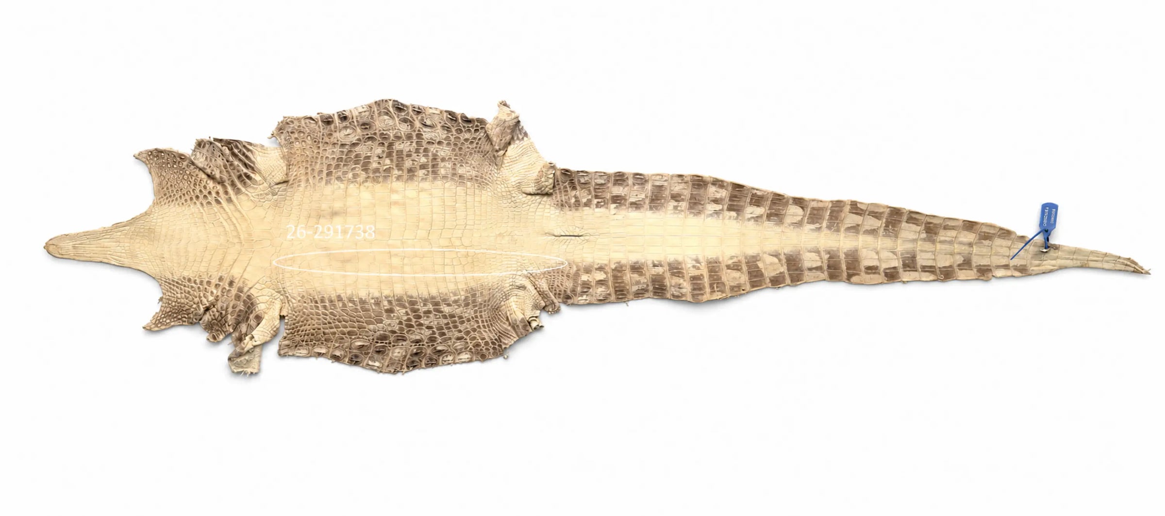 Seronera Female Belt - Himalayan / 115 cm / 30 mm - 127235 - skin