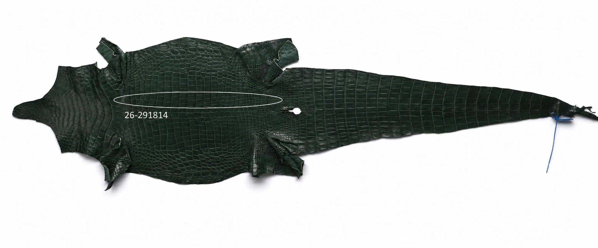 Seronera Female Belt - Green / 120 cm / 30 mm - 127284 - skin