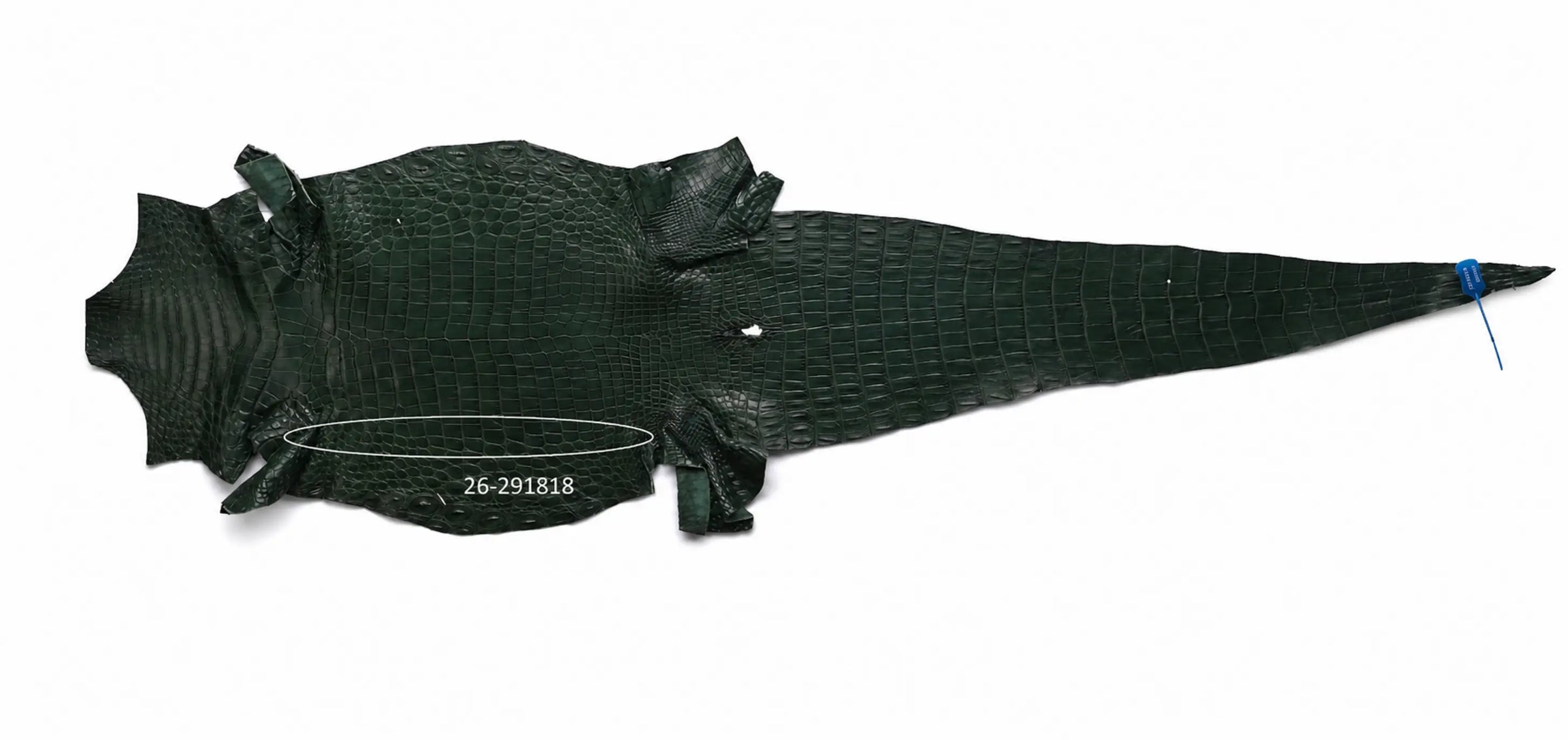 Seronera Female Belt - Green / 110 cm / 25 mm - 127287 - skin