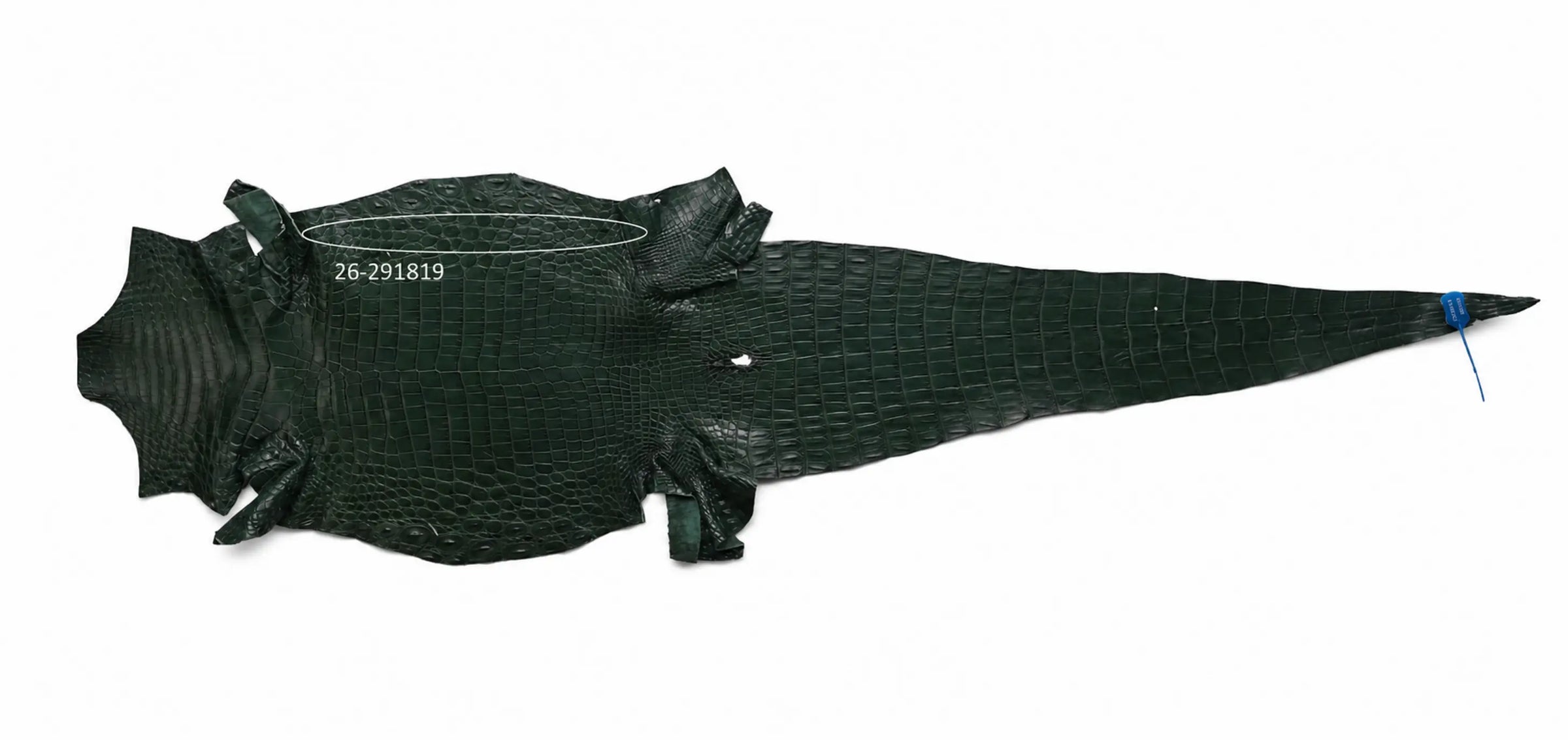 Seronera Female Belt - Green / 105 cm / 25 mm - 127288 - skin