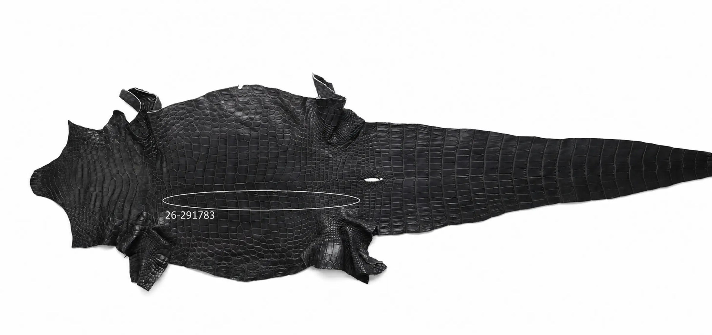 Seronera Female Belt - Grey / 120 cm / 30 mm - 127277 - skin
