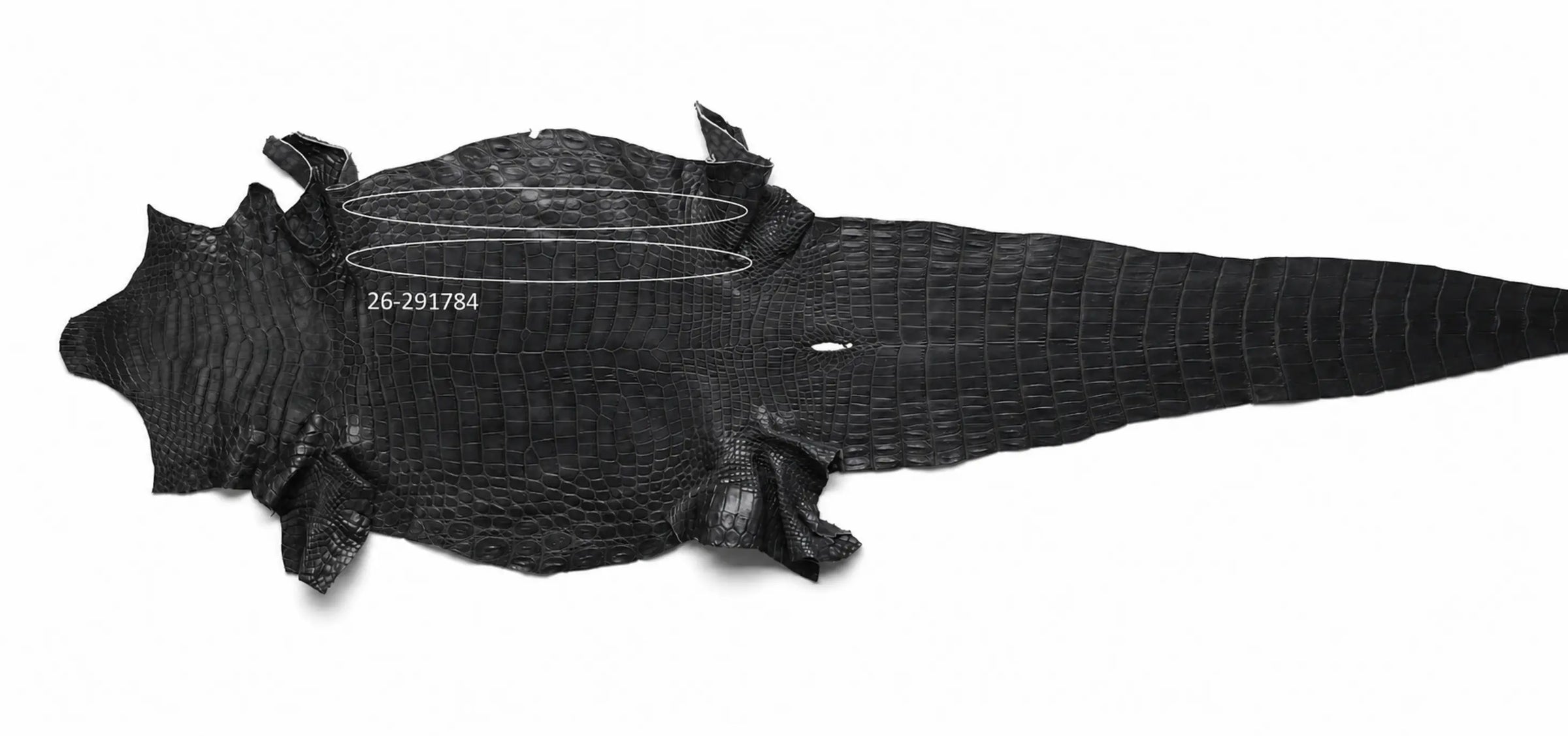 Seronera Female Belt - Grey / 125 cm / 30 mm - 127278 - skin