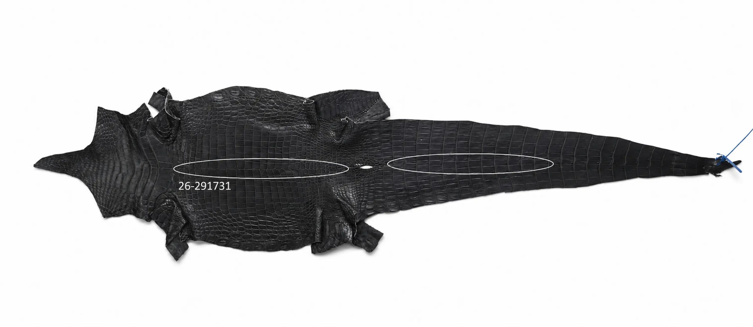 Seronera Female Belt - Grey / 110 cm / 30 mm - 127228 - skin