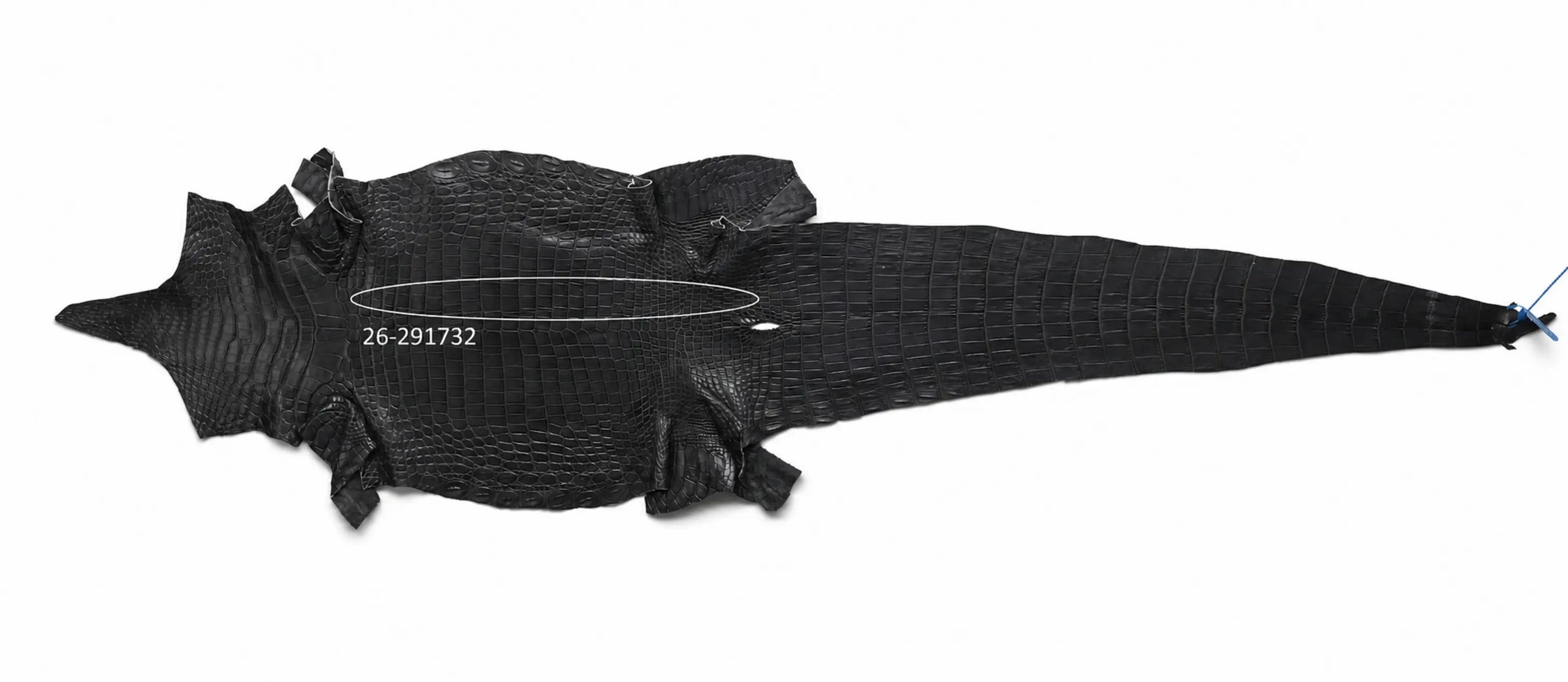 Seronera Female Belt - Grey / 110 cm / 30 mm - 127229 - skin