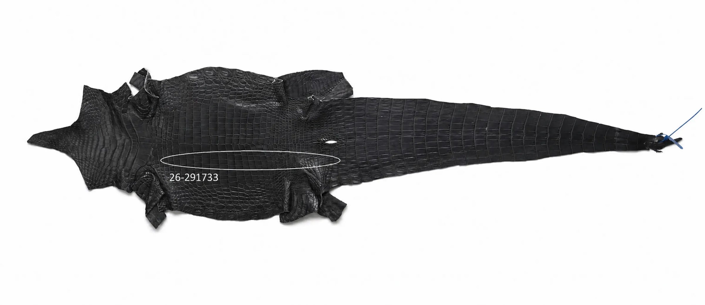 Seronera Female Belt - Grey / 110 cm / 30 mm - 127230 - skin