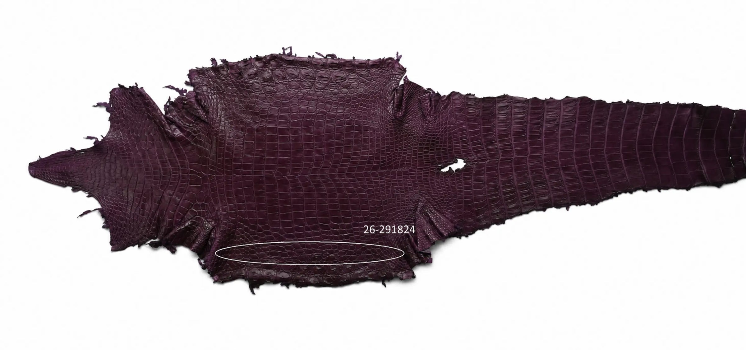 Seronera Female Belt - Purple / 110 cm / 30 mm - 127292 - skin