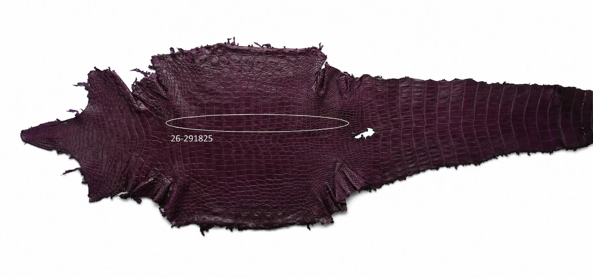 Seronera Female Belt - Purple / 120 cm / 30 mm - 127293 - skin