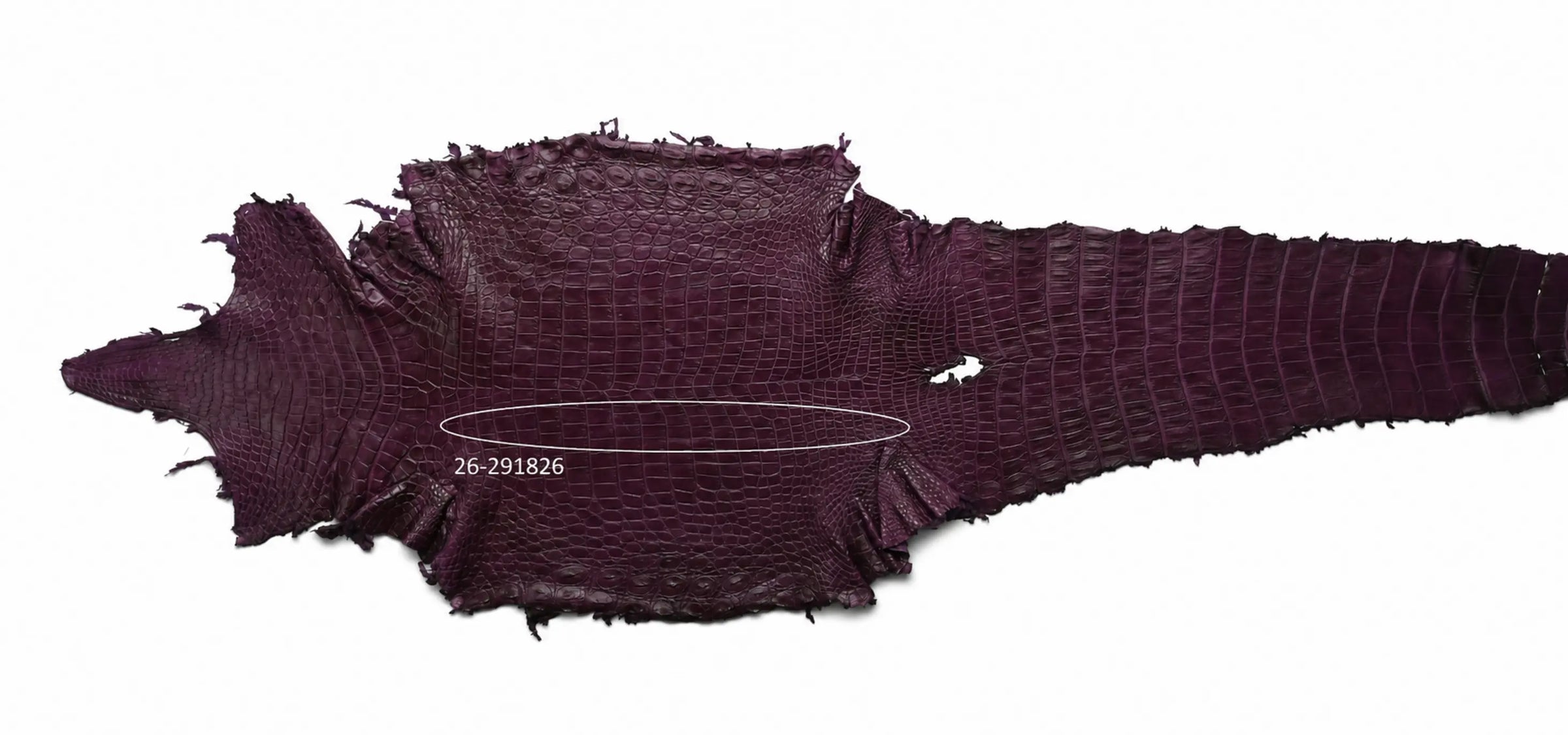 Seronera Female Belt - Purple / 115 cm / 30 mm - 127294 - skin