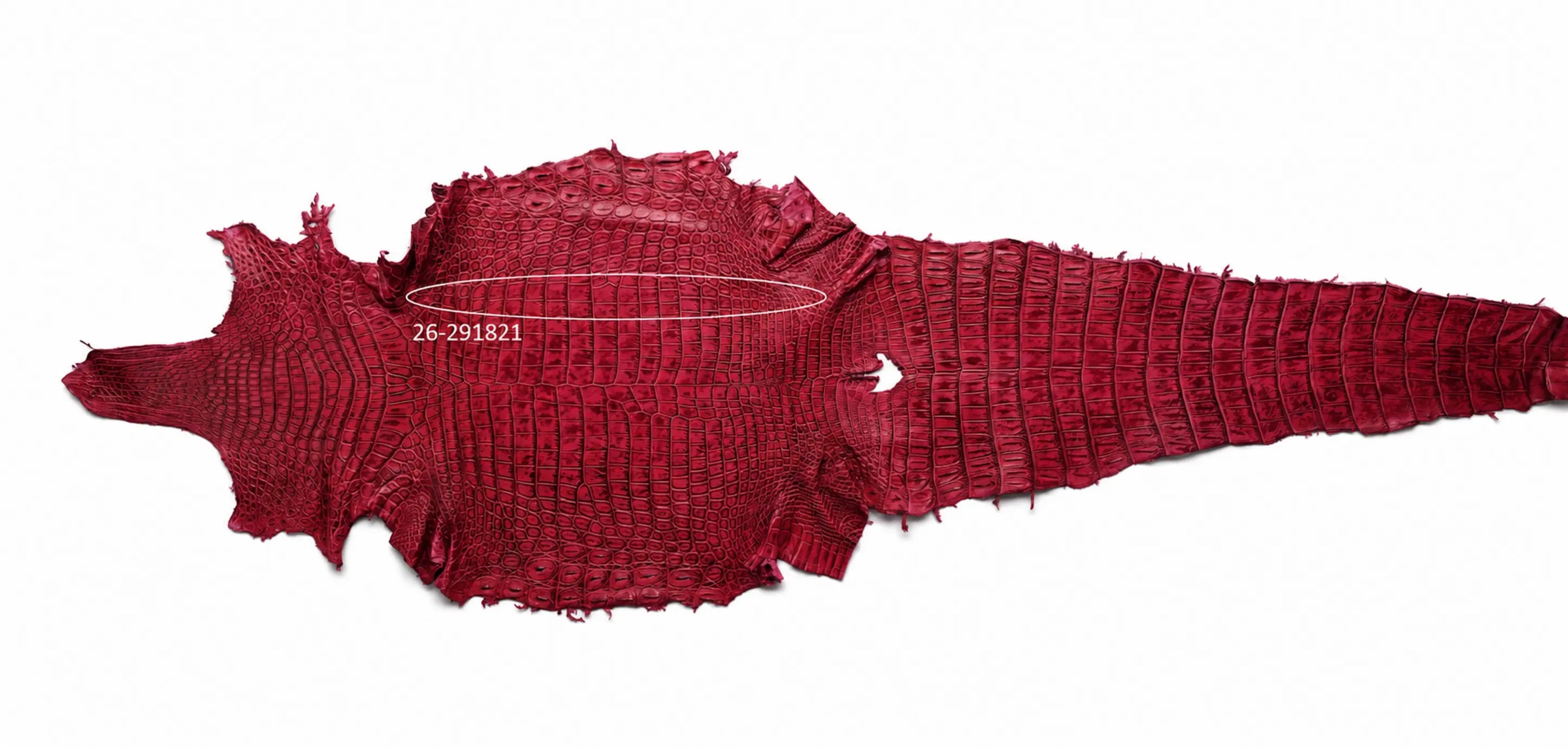 Seronera Female Belt - Pink / 115 cm / 30 mm - 127289 - skin