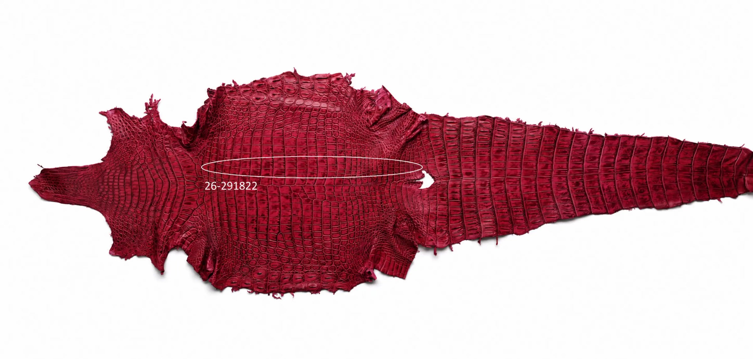 Seronera Female Belt - Pink / 115 cm / 30 mm - 127290 - skin