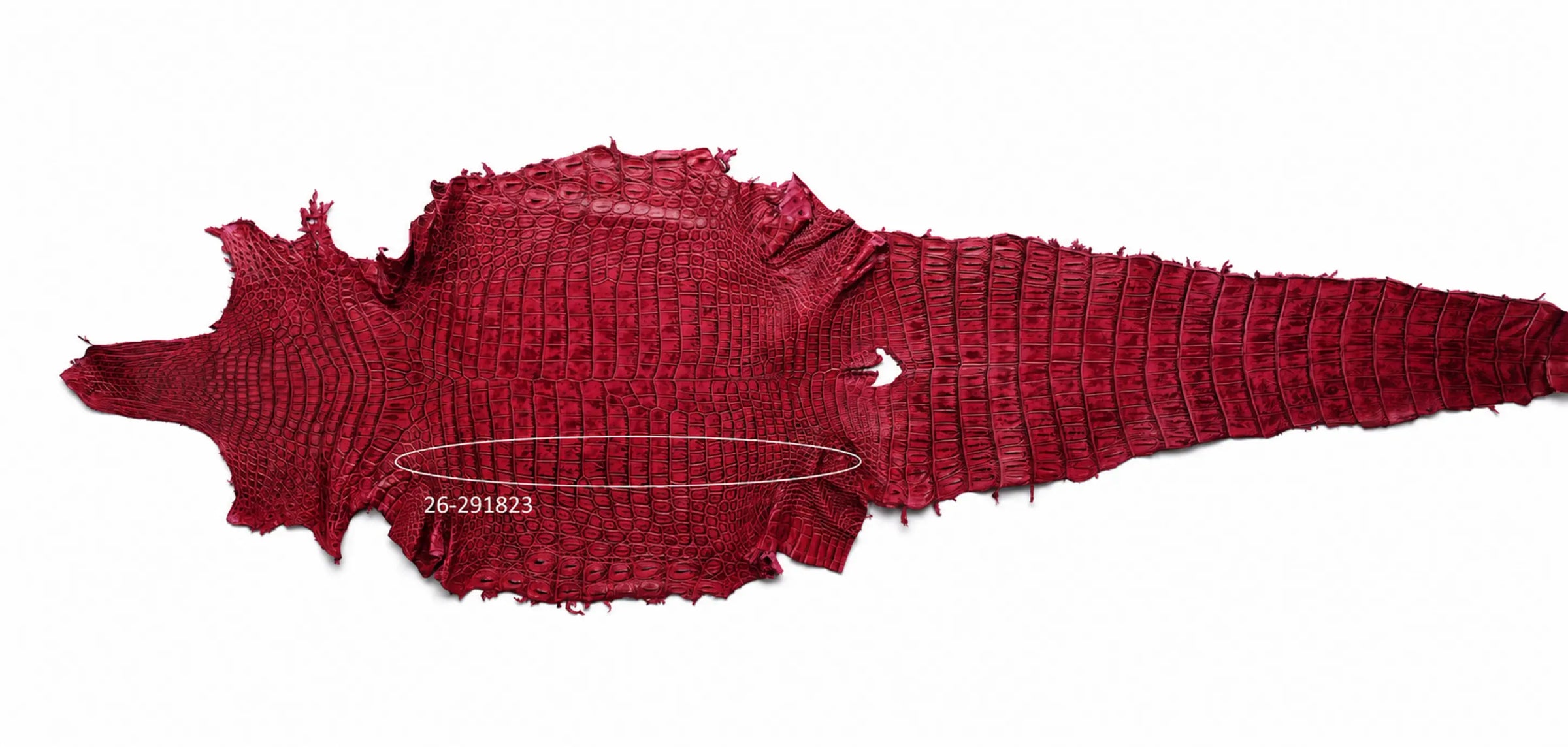 Seronera Female Belt - Pink / 125 cm / 30 mm - 127291 - skin