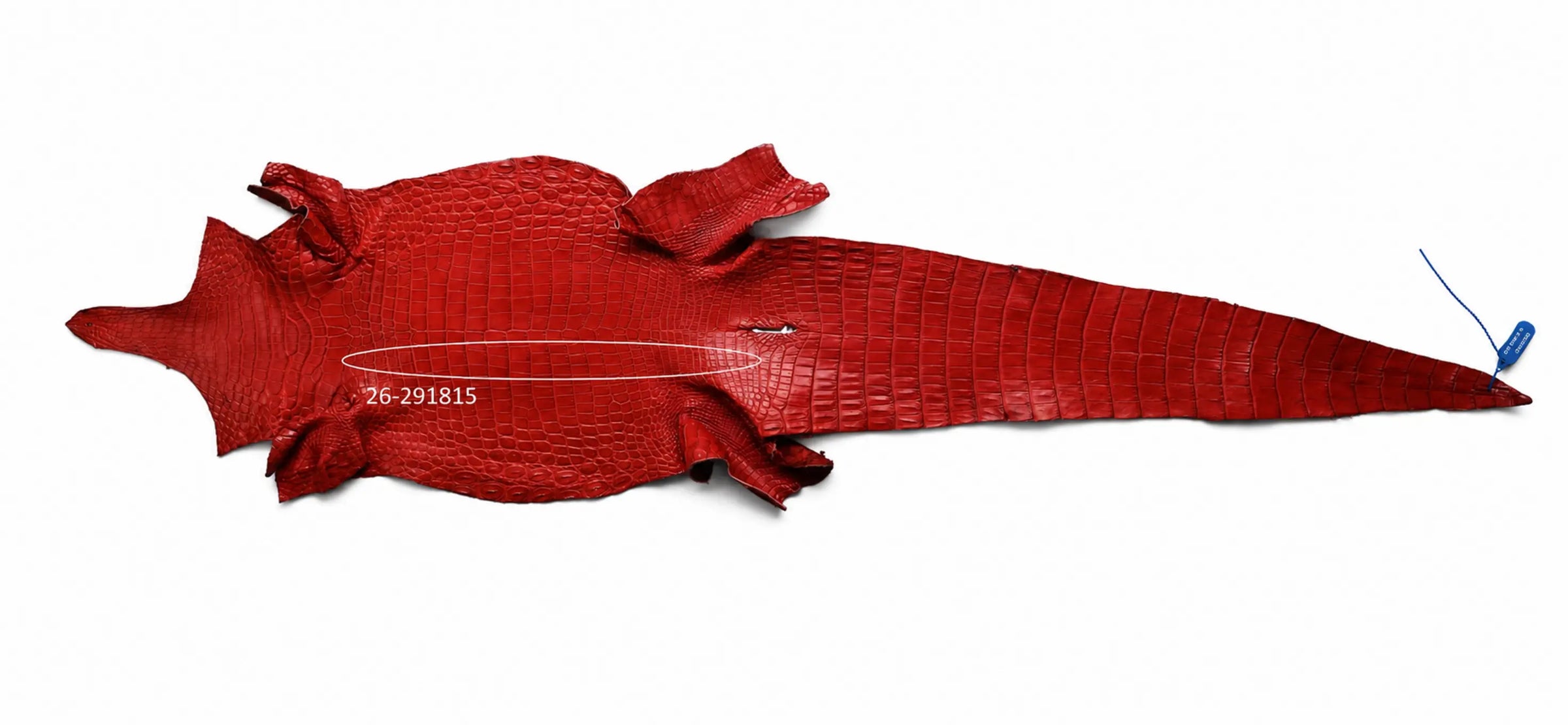 Seronera Female Belt - Red / 115 cm / 30 mm - 127285 - skin