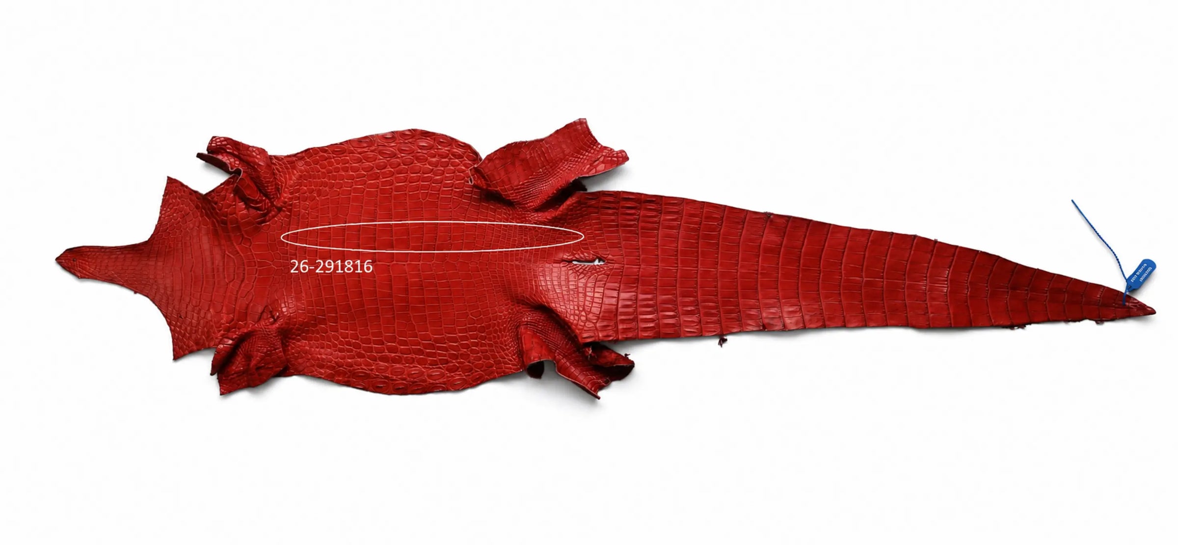 Seronera Female Belt - Red / 110 cm / 30 mm - 127286 - skin