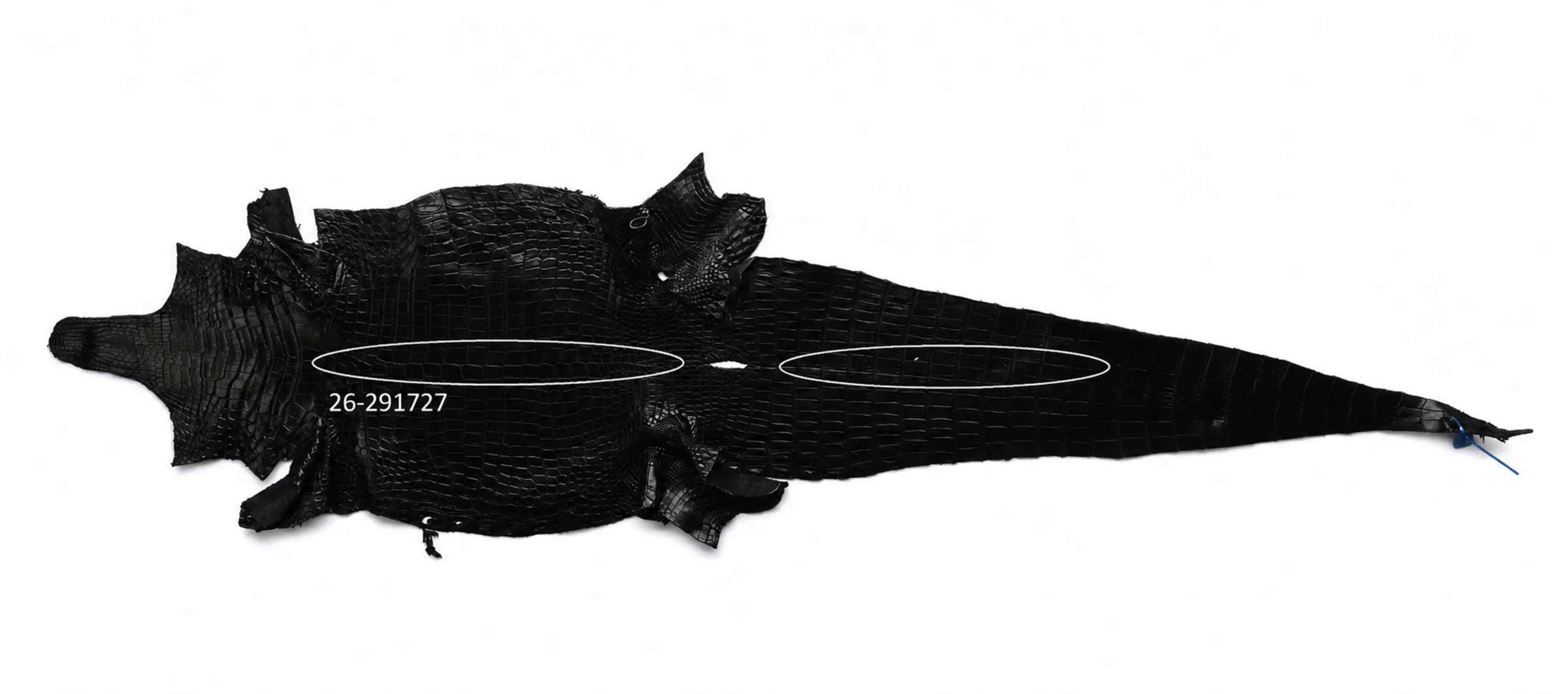 Seronera Female Belt - Black / 110 cm / 30 mm - 127224 - skin