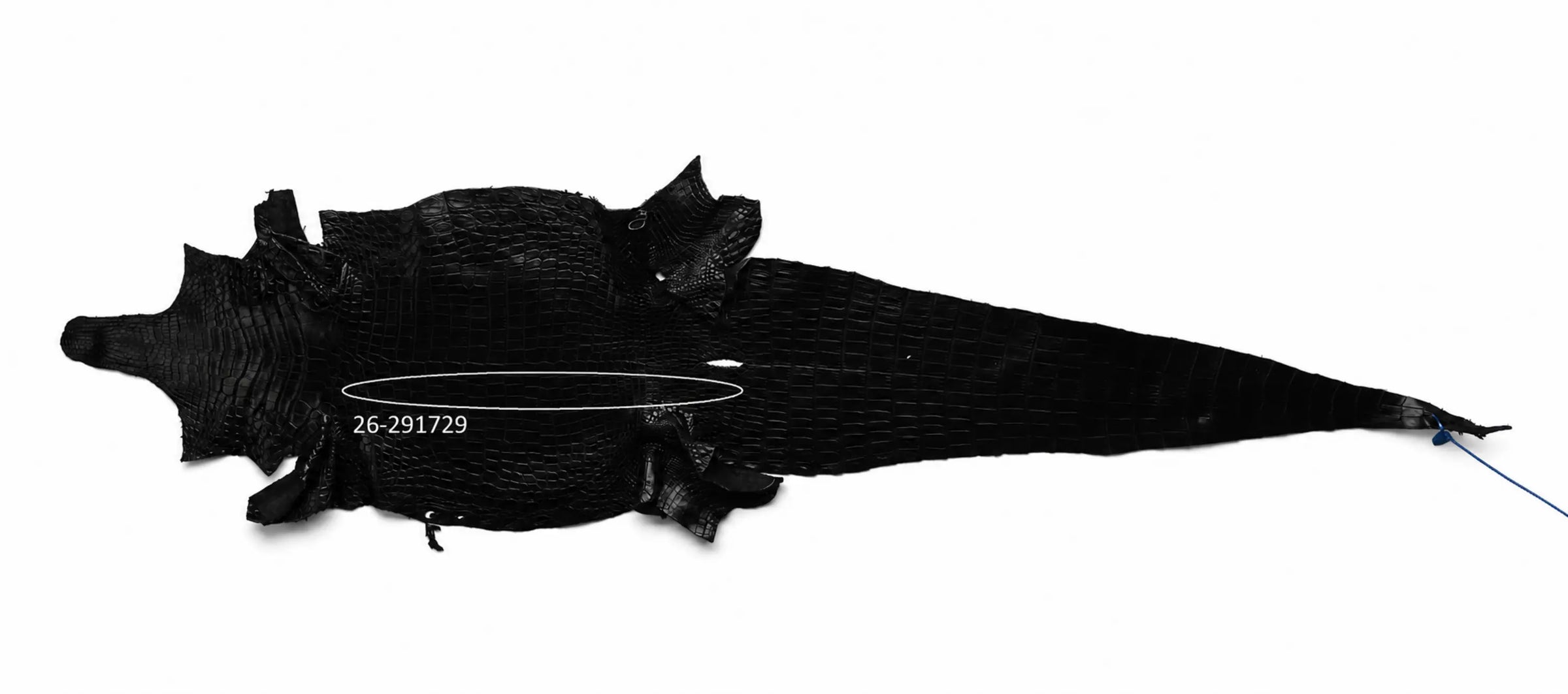 Seronera Female Belt - Black / 120 cm / 30 mm - 127226 - skin