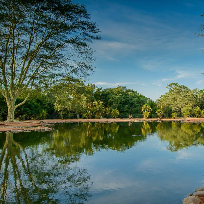We welcome you to visit Seronera and experience the serene nature of Africa.